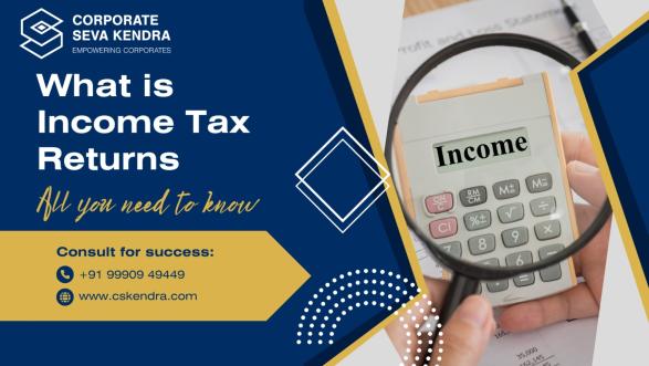 What is Income Tax?